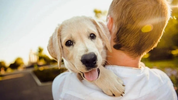 4 Reasons Why Having A Pet May Influence Your Health